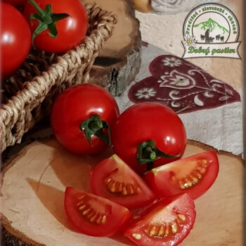 Babindolské paradajky
